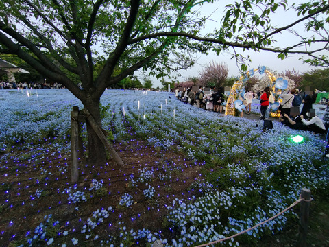 IMG_20250419_180601aa