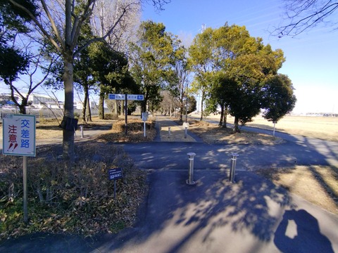 IMG_20250211_143509a