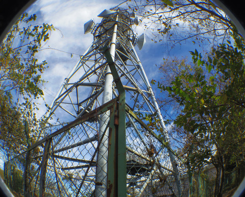 IMGP7203aa