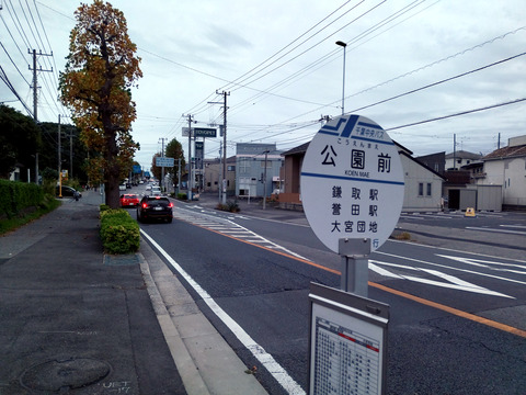 IMG_20241116_154517_1aa