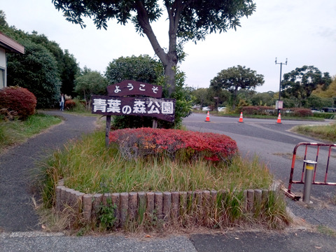 IMG_20241116_154513_1aa