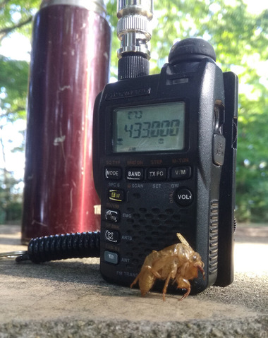 IMG_20210801_160059aa