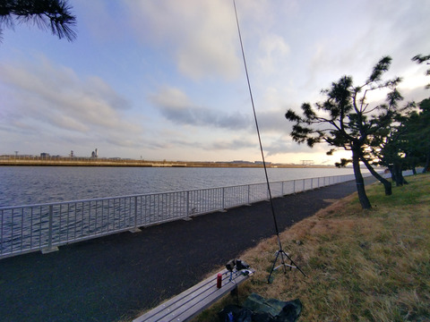 IMG_20250103_154737aa