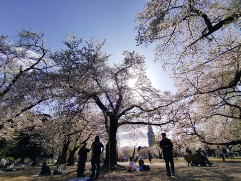 IMG_20250409_150643_1