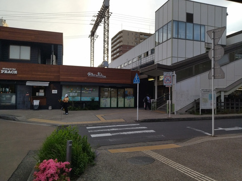 IMG_20240522_174743aa