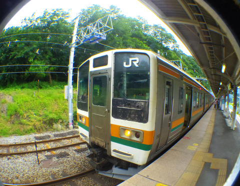 IMGP3421aa