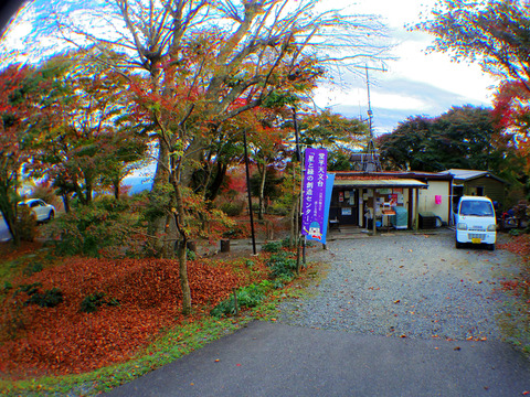 IMGP7236aa