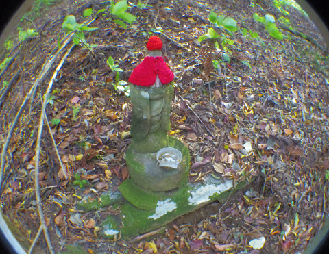 IMGP7196aa