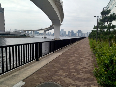 IMG_20251012_140717_1aa