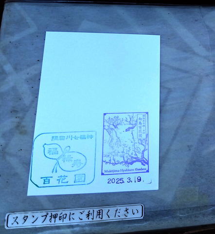 IMG_20250309_140833aa