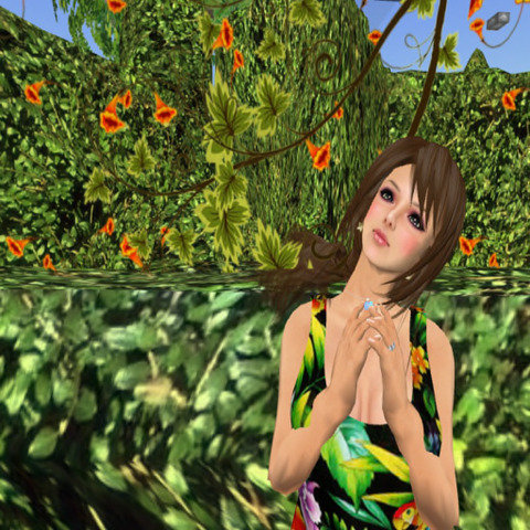photographic contest ( aya Rain )