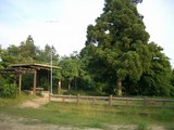 c41a7815.jpg