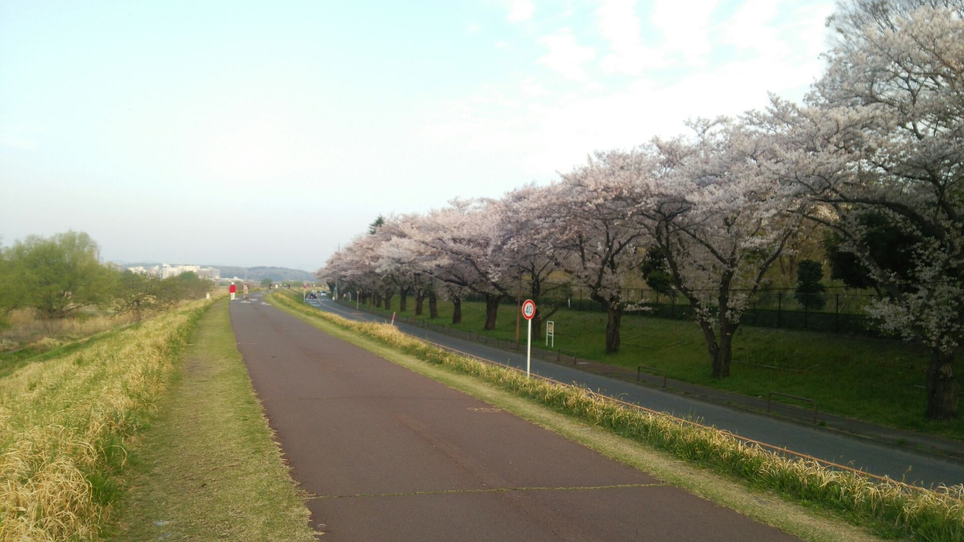 17年4月15日多摩川関戸橋フリーマーケット 趣味のじかん 17年4月15日多摩川関戸橋フリーマーケット 趣味のじかん