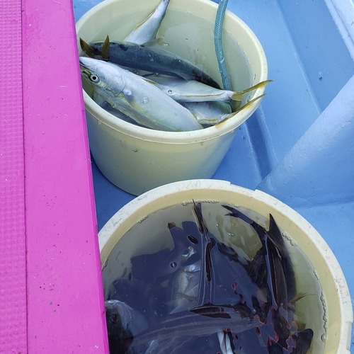 IMG_20191101_152809_553