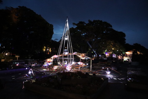 IMG_87950008