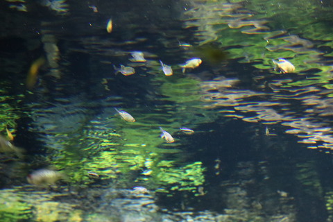 IMG_69340070