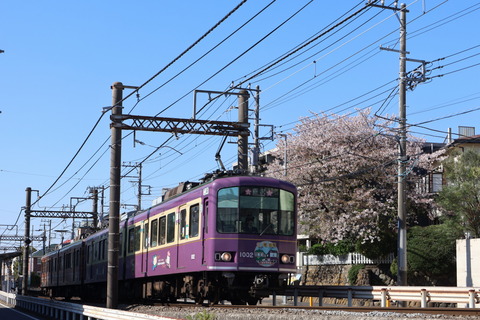 江ノ電　花の色