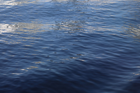 IMG_77700024