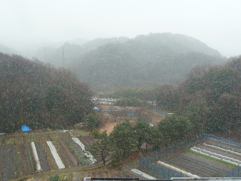 イメージ 3