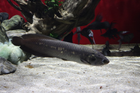 IMG_70740148