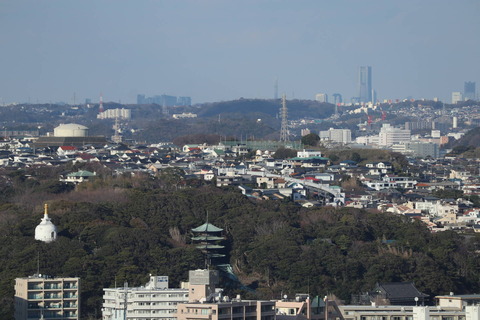 IMG_12290024
