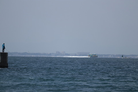 IMG_43190044