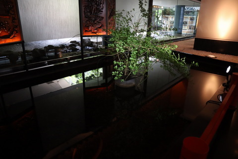 IMG_88880018