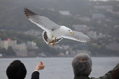 IMG_46870074