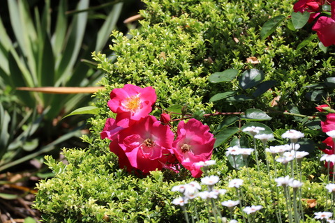 IMG_96140058