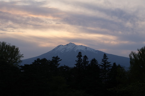 IMG_76540031
