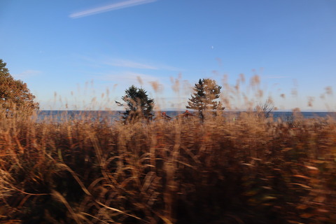 IMG_90540138
