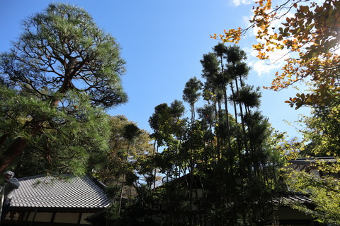 IMG_65550076