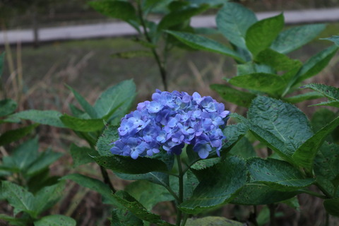 IMG_66080102