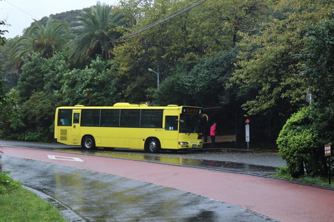 IMG_52110091