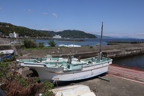 IMG_40440136