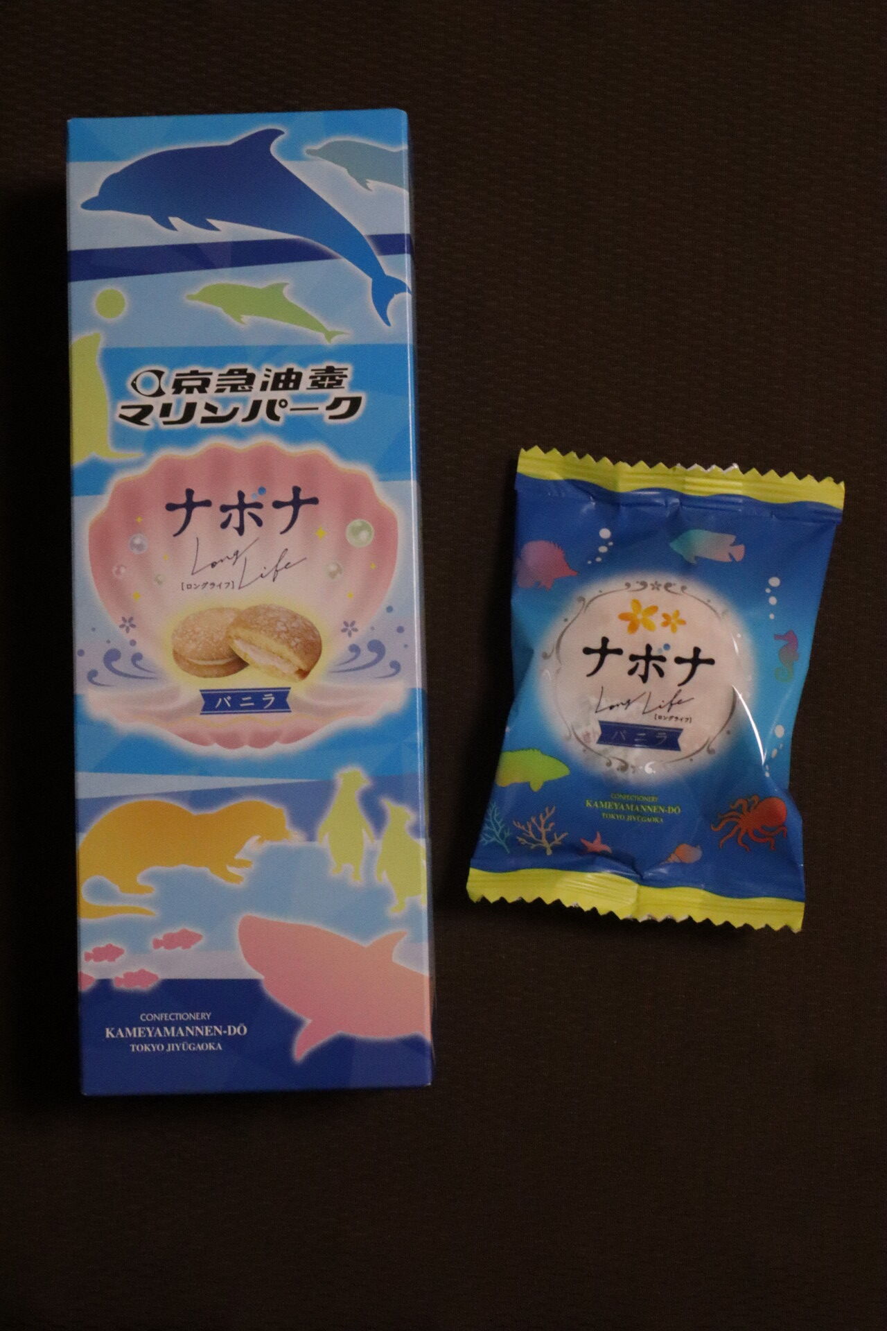 80710281-s.jpg