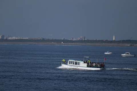 IMG_88620004