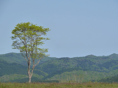 P1230590