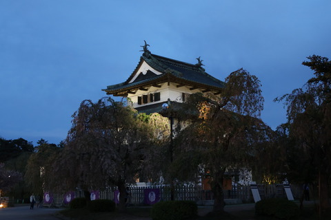 IMG_76910049