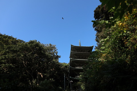 IMG_91140036