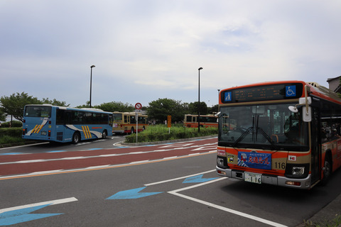 IMG_50120058