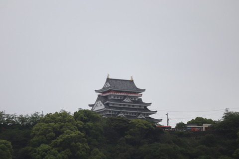 IMG_46380060