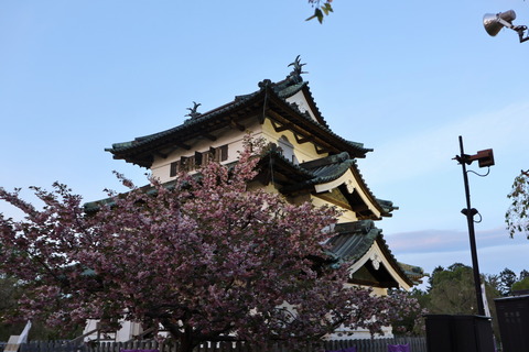 IMG_76500029