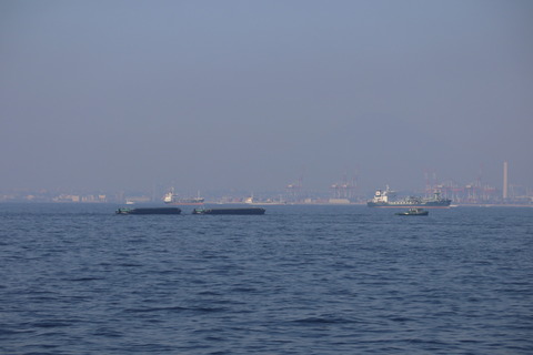 IMG_78500055