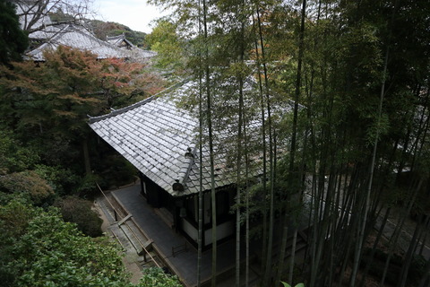 IMG_77850062