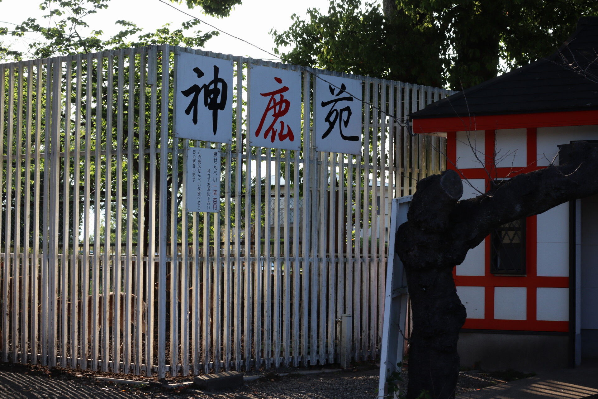 ドリーム交通廃線跡探訪記4 影取 ドリームランド 休日自衛隊ライブドア基地 Jhsdf Livedoor Base