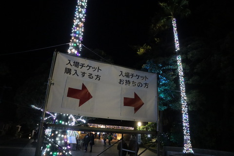 IMG_76150062