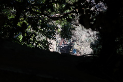 IMG_17430107