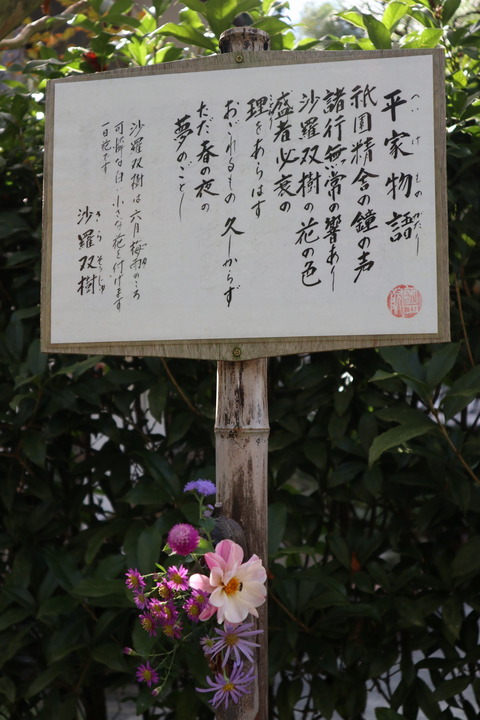 IMG_66380116