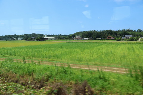 IMG_15100037